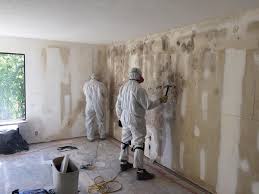 Environmental Consulting for Mold Prevention in Barrett, TX